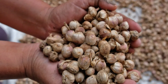 Screenshot 2026-01-07 132513